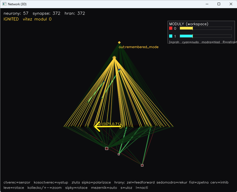Polarized network with vector of polarization